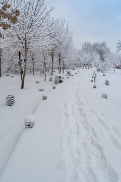 冬天中国沈阳浑河的雪地雾凇