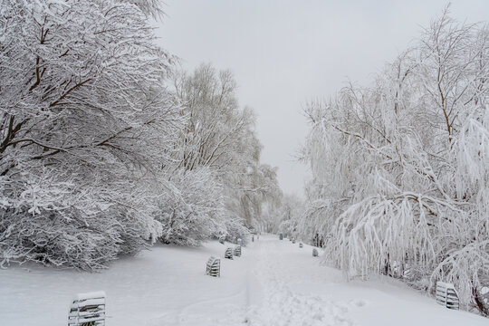 冬天中国沈阳浑河的雪地雾凇