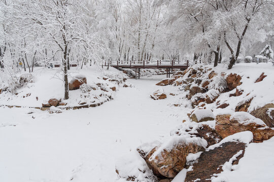 冬天中国沈阳浑河的雪地雾凇