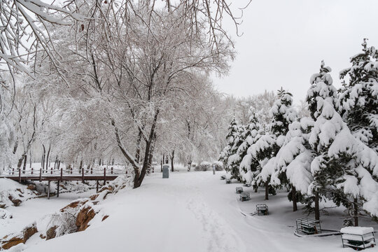 冬天中国沈阳浑河的雪地雾凇