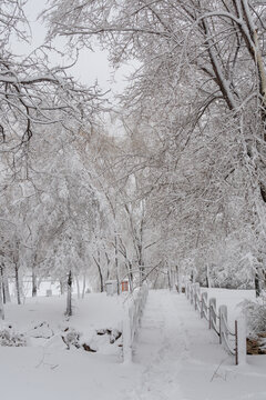 冬天中国沈阳浑河的雪地雾凇