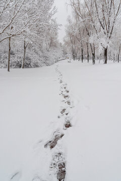 冬天中国沈阳浑河的雪地雾凇