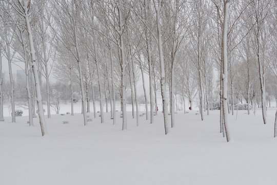 冬天中国沈阳浑河的雪地雾凇