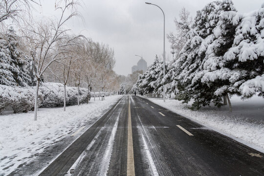 冬天中国沈阳的雪地雾凇