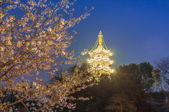 中国南京樱花古建筑夜景