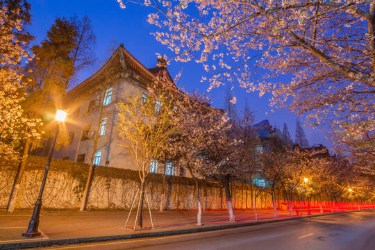 中国南京樱花古建筑夜景