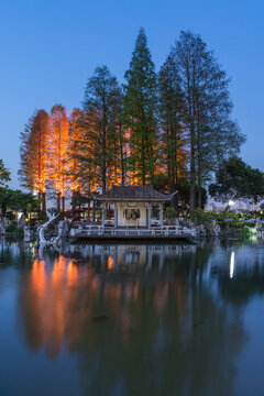 中国江苏南京玄武湖公园夜景