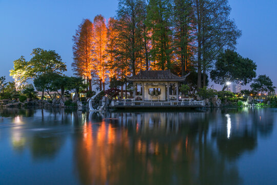 中国江苏南京玄武湖公园夜景