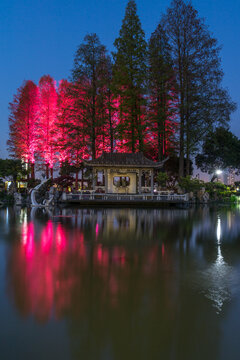 中国江苏南京玄武湖公园夜景