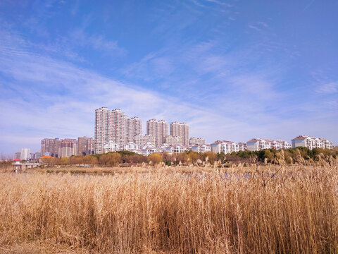 滁州清流河