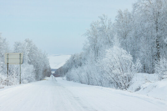 冬季森林道路雪景