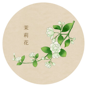 茉莉花