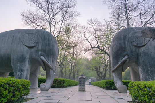 春天中国南京明孝陵风景区