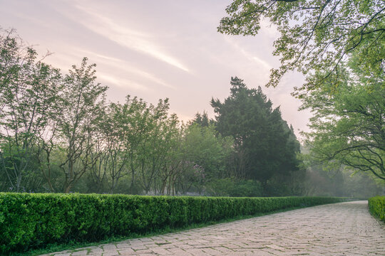 春天中国南京明孝陵风景区