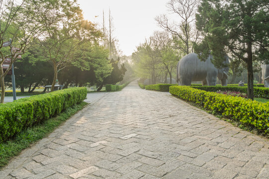 春天中国南京明孝陵风景区