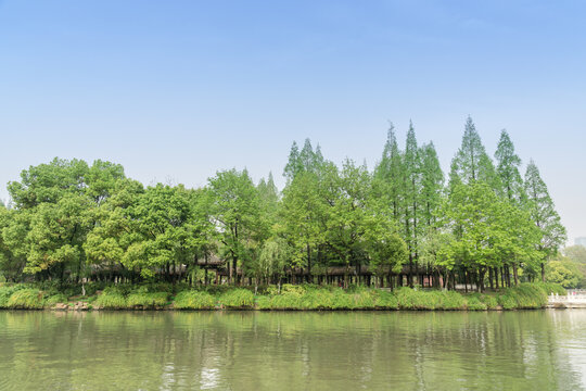 中国南京紫金山公园