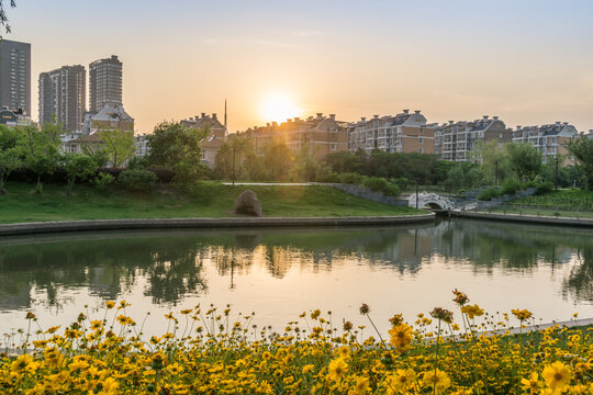 夕阳下的泰州城市公园风景