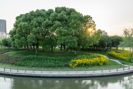 夕阳下的泰州城市公园风景