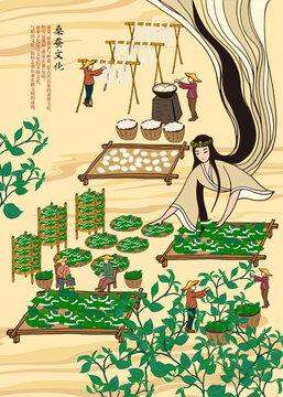 養(yǎng)蠶