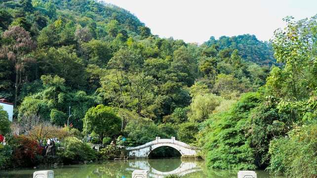 青山绿水