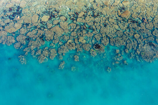 航拍三亚西岛近海海底珊瑚礁石