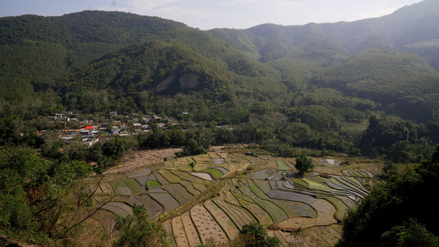 昌江梯田