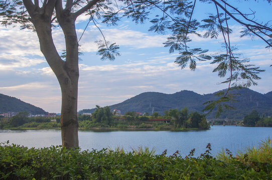 南安水韵陈塘风景