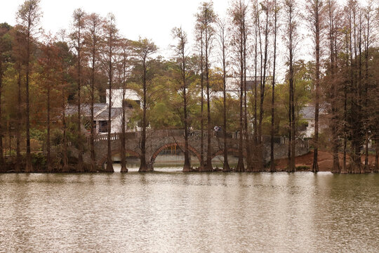 华南植物园冬季景色