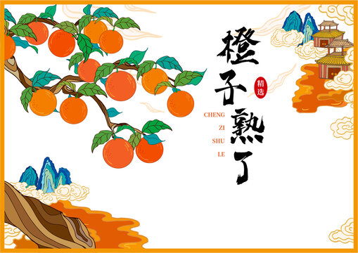 橙子包裝