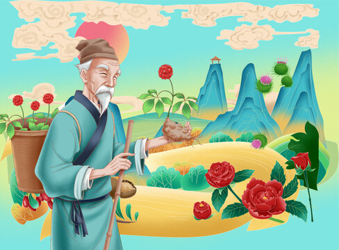 牛蒡玫瑰三七采茶老人插畫