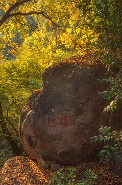 九日山山中石刻