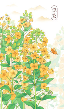 原创手绘水彩风油菜花惊蛰插画