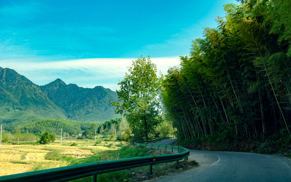 林间道路