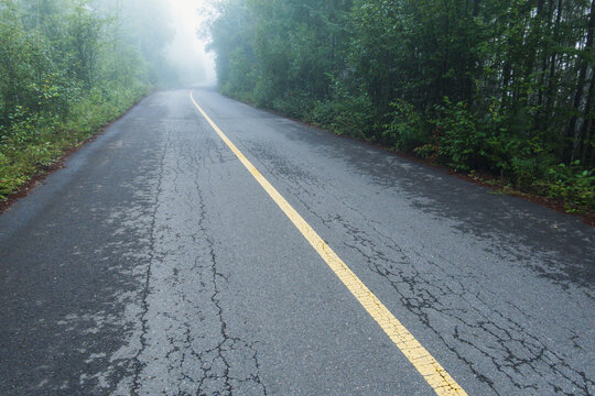 清晨晨雾公路森林