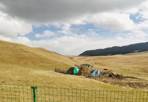 山坡人家