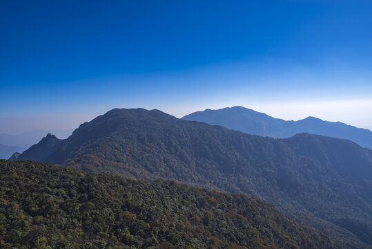 高山森林