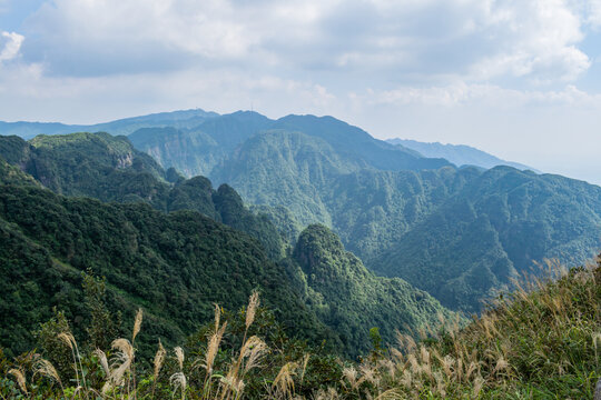 绿色大山