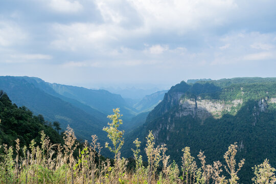 大明山