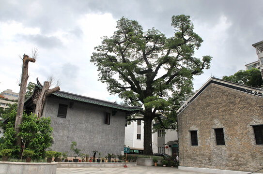 广州光孝寺风光