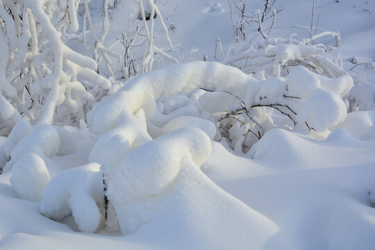 雪