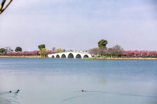 梅花拱桥湖泊