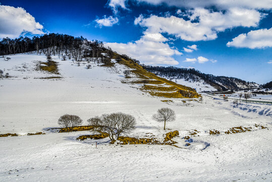 雪域高原