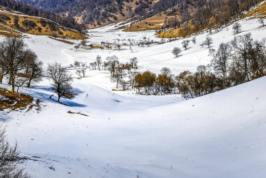 雪域高原