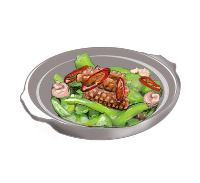 手繪絲瓜炒肉