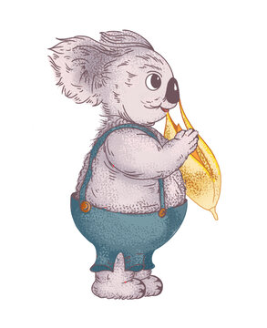 考拉树袋熊手绘插画设计
