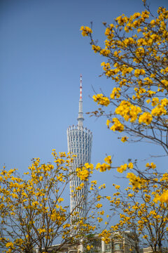 花城广州