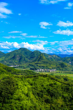 丽水莲都高山田园风光