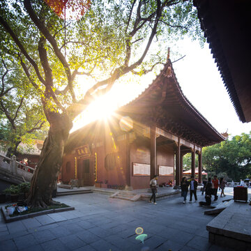 深圳弘法寺