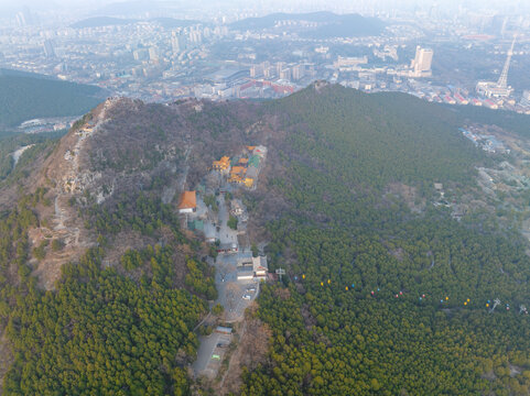 济南千佛山的山桃花