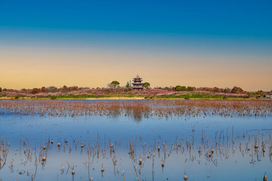 上海海湾湿地公园